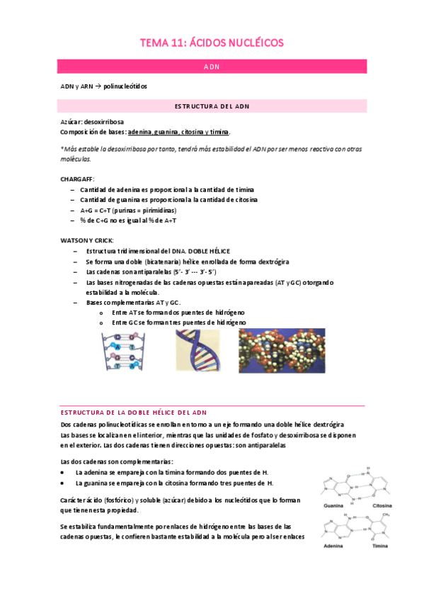 Miniatura del documento TEMA-11.pdf