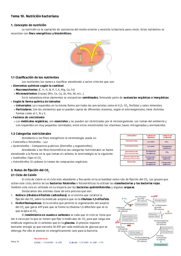 Miniatura del documento Tema-10-Nutricion-bacteriana.pdf