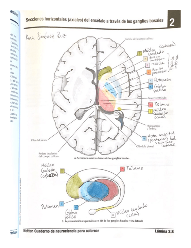 Miniatura del documento Laminas.pdf