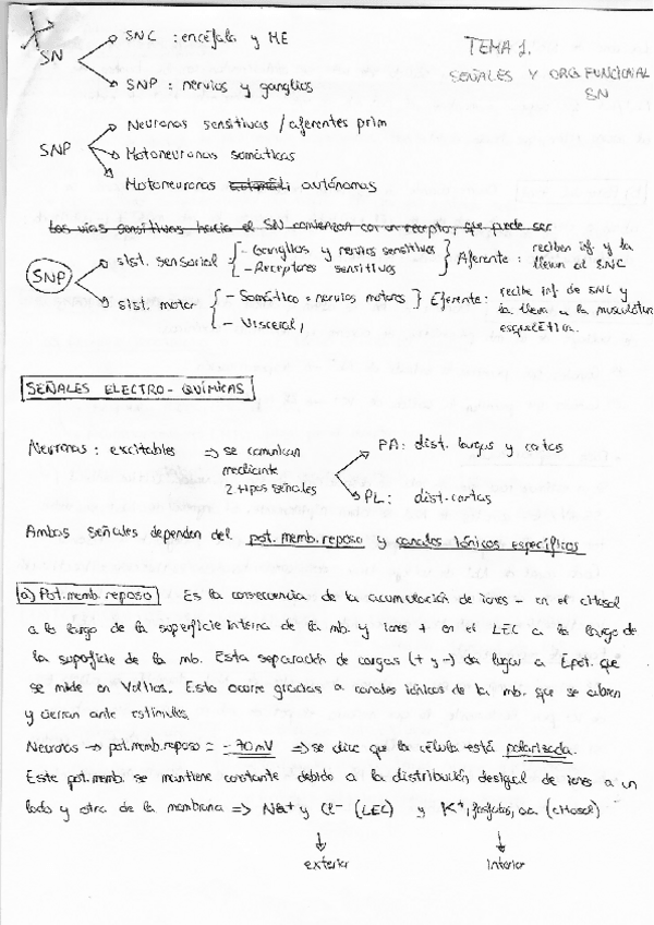 Miniatura del documento NEUROFISIOLOGIA-T1.pdf