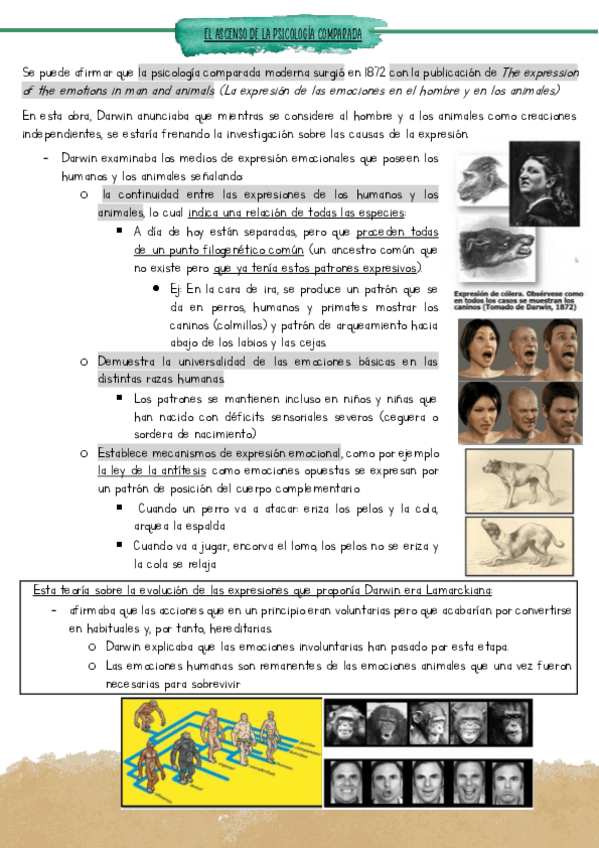 Miniatura del documento tema-3-parte-final.pdf