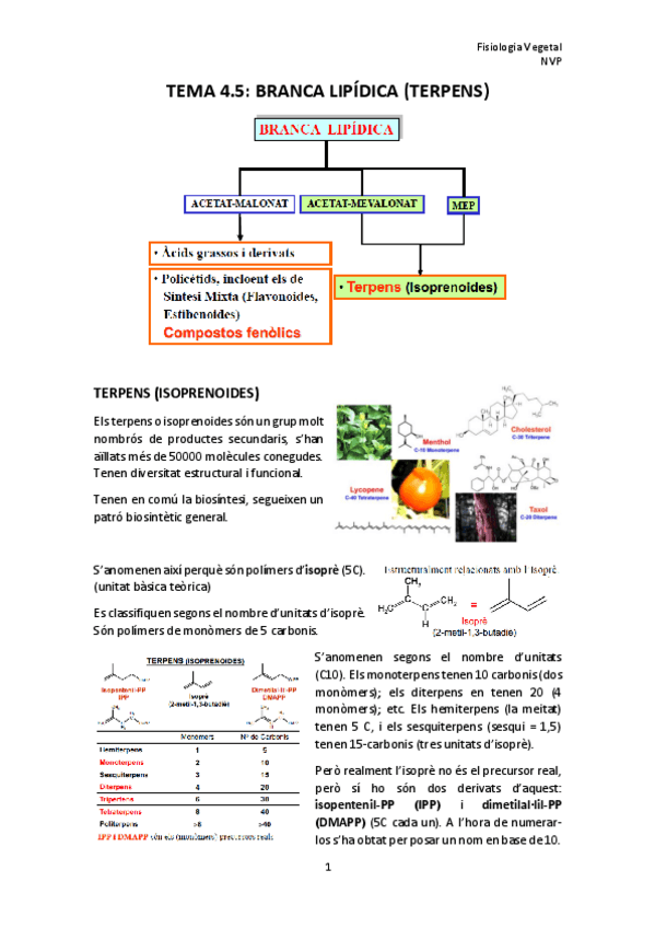 Miniatura del documento TEMA-4.pdf