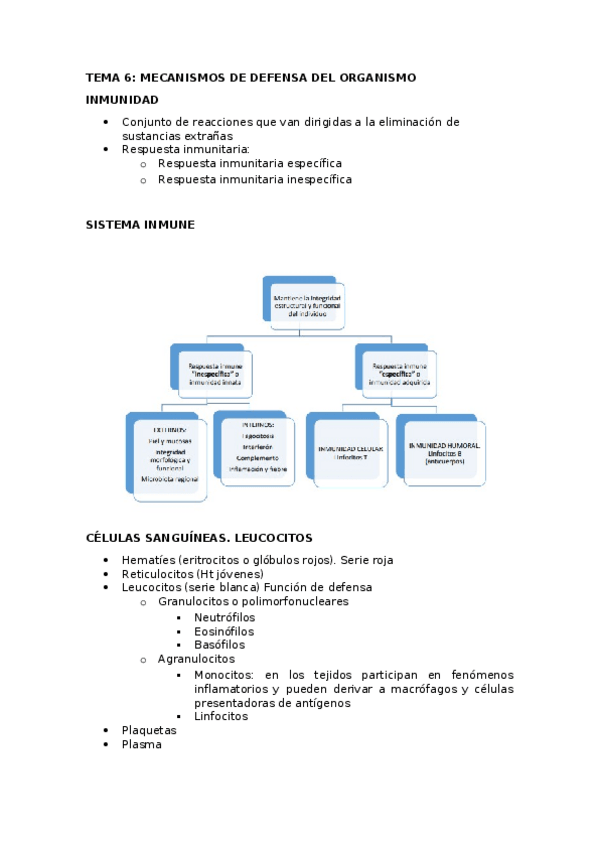 Miniatura del documento TEMA-6-PG.docx