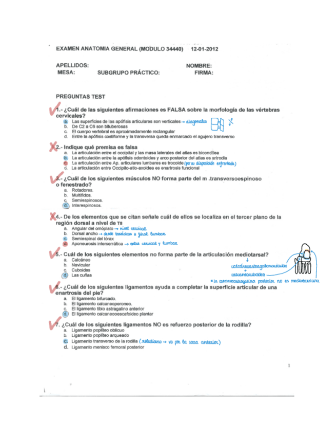 Miniatura del documento test-Anatomia-2012-.pdf