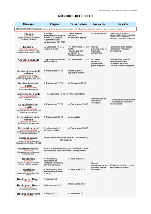 Miniatura del documento Musculos-cuello-Libro-amarillo.pdf