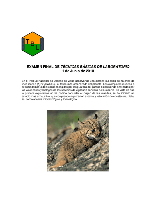 Miniatura del documento PRUEBAFINALINTEGRADORA2010.pdf