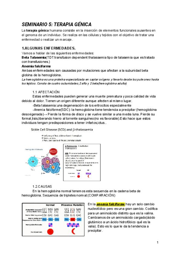 Miniatura del documento SEMINARIO-5-TERAPIA-GENICA.pdf