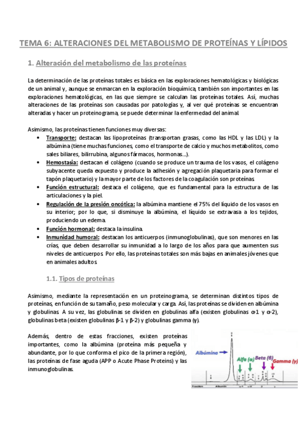 Miniatura del documento TEMA-6-Patologia-General.pdf