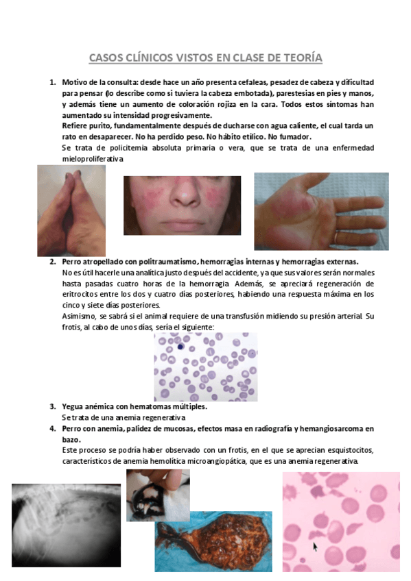 Miniatura del documento CASOS-CLINICOS.pdf