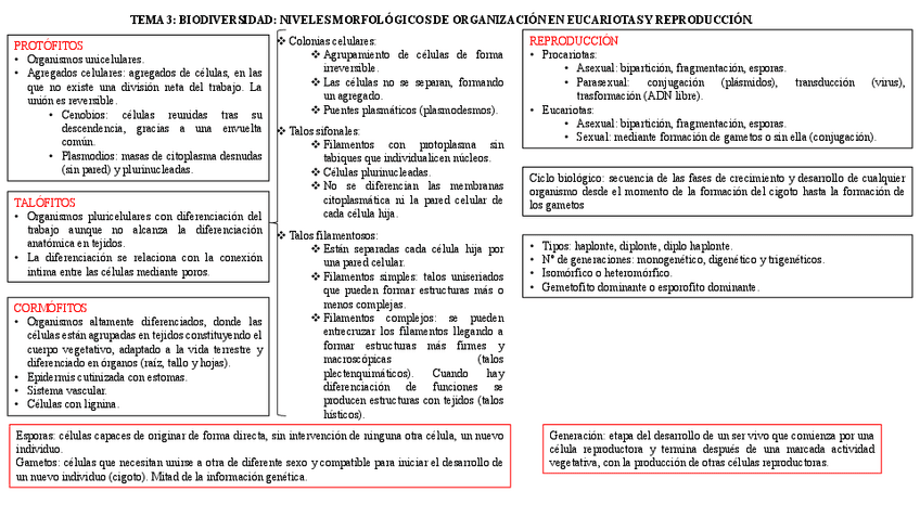 Miniatura del documento tema-3-esquema.pdf