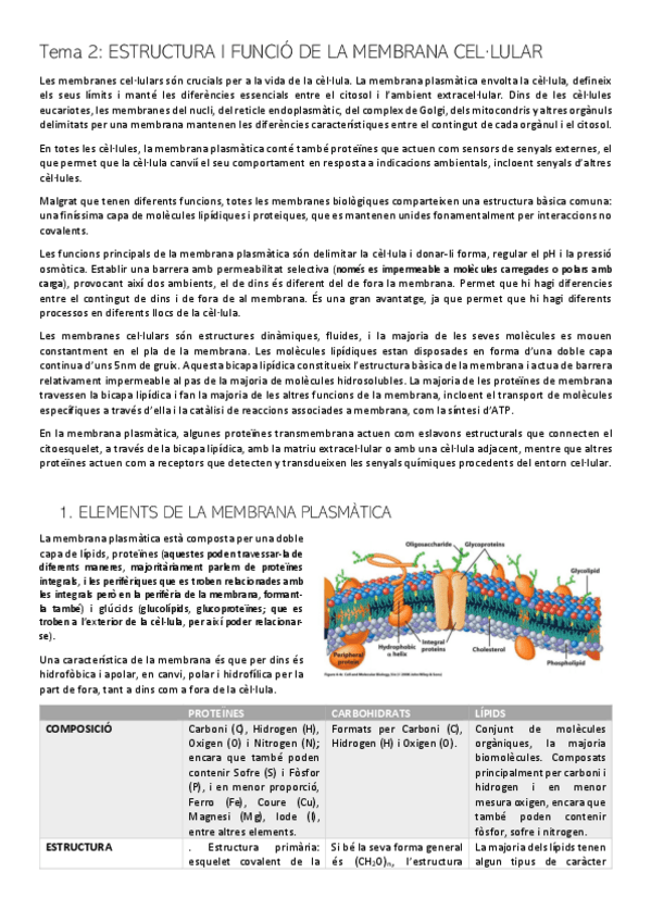 Miniatura del documento PRIMER-PARCIAL-2-BC.pdf