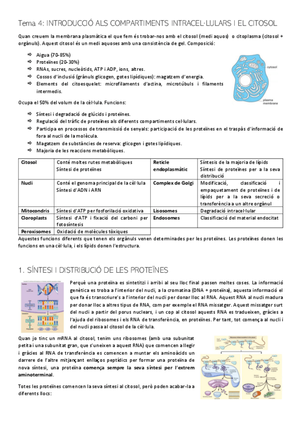 Miniatura del documento PRIMER-PARCIAL-3-BC.pdf