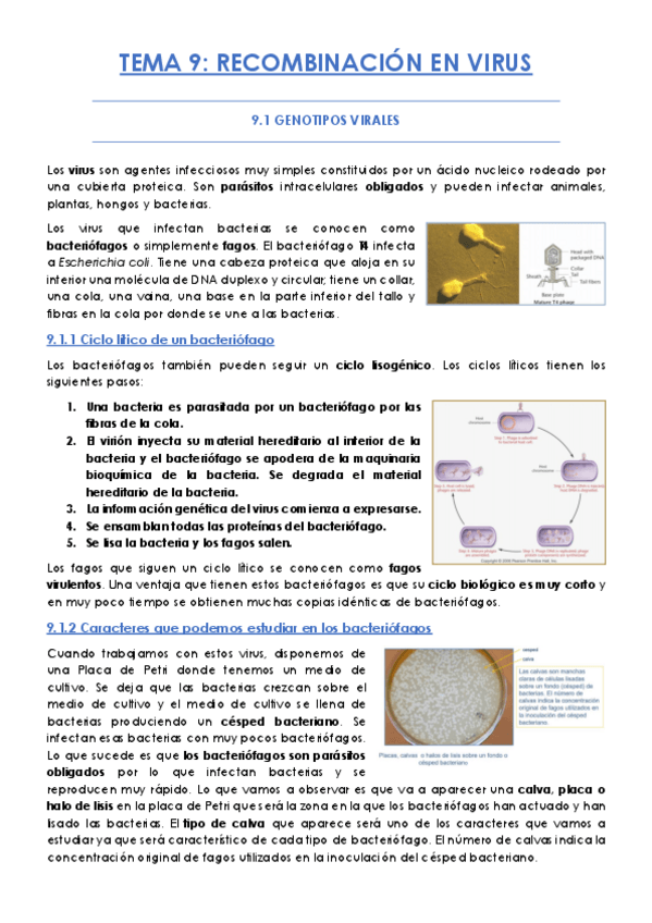 Miniatura del documento TEMA-9.pdf