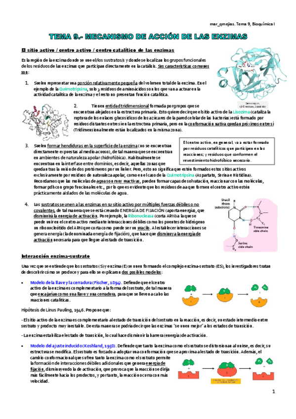 Miniatura del documento TEMA-9.pdf