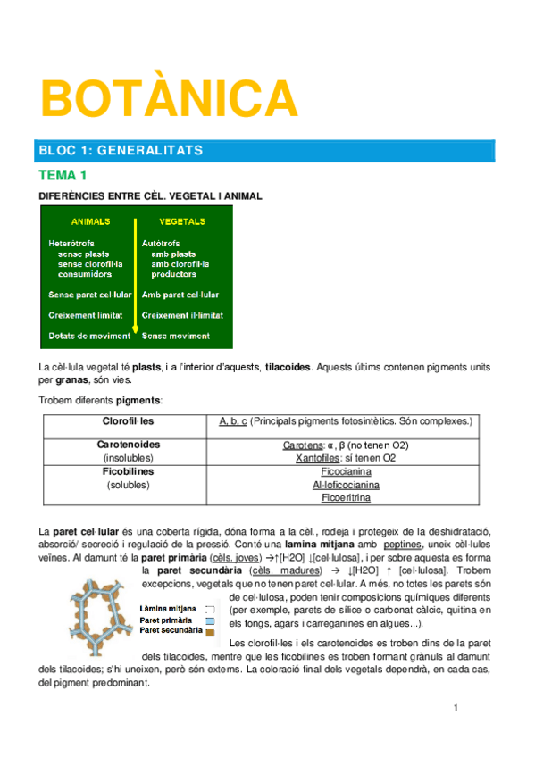 Miniatura del documento BOTÀNICA 2015-16.pdf