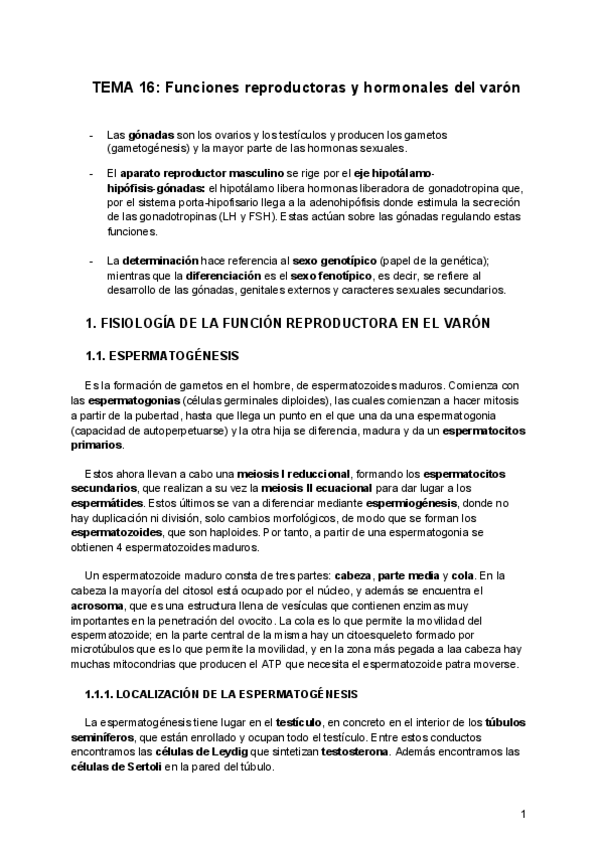 Miniatura del documento 16FH-Varon.pdf