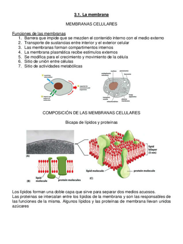 Miniatura del documento Tema-3.pdf