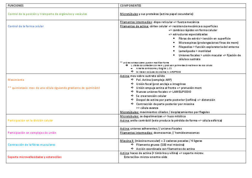 Miniatura del documento funciones-cito.pdf