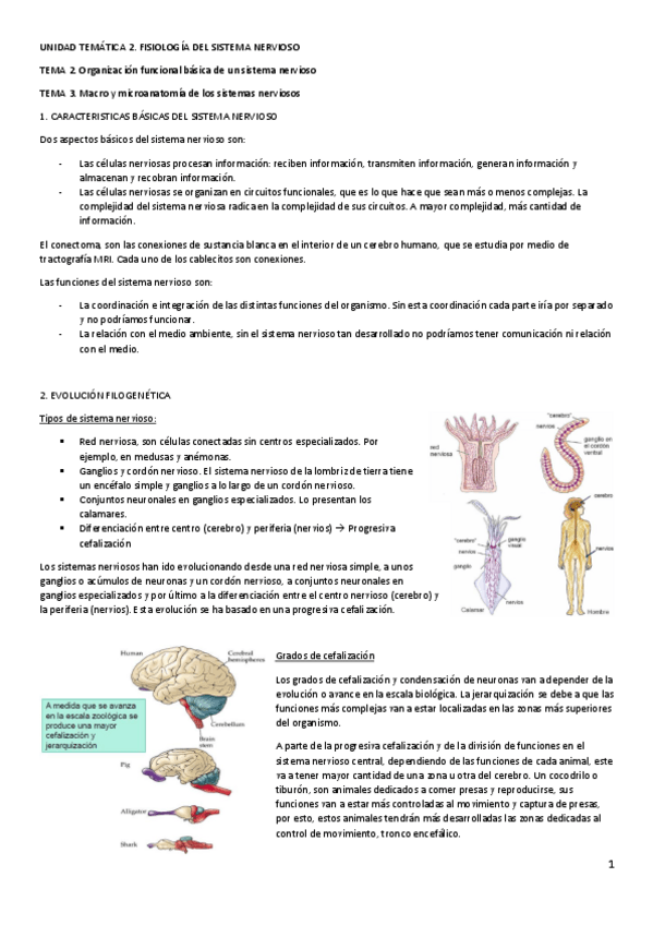 Miniatura del documento FAI-Tema-2y3.pdf