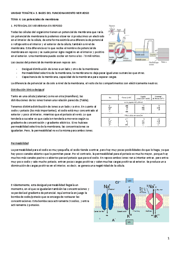 Miniatura del documento FAI-Tema-4.pdf