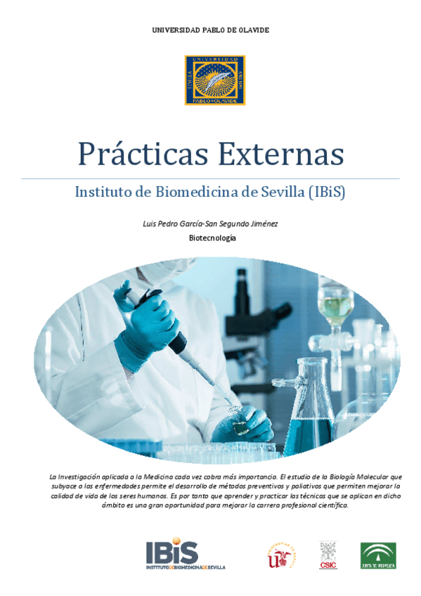 Miniatura del documento Memoria-Final.pdf