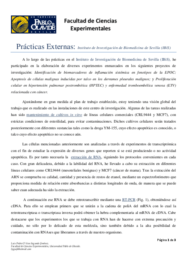 Miniatura del documento Informe-Intermedio.pdf