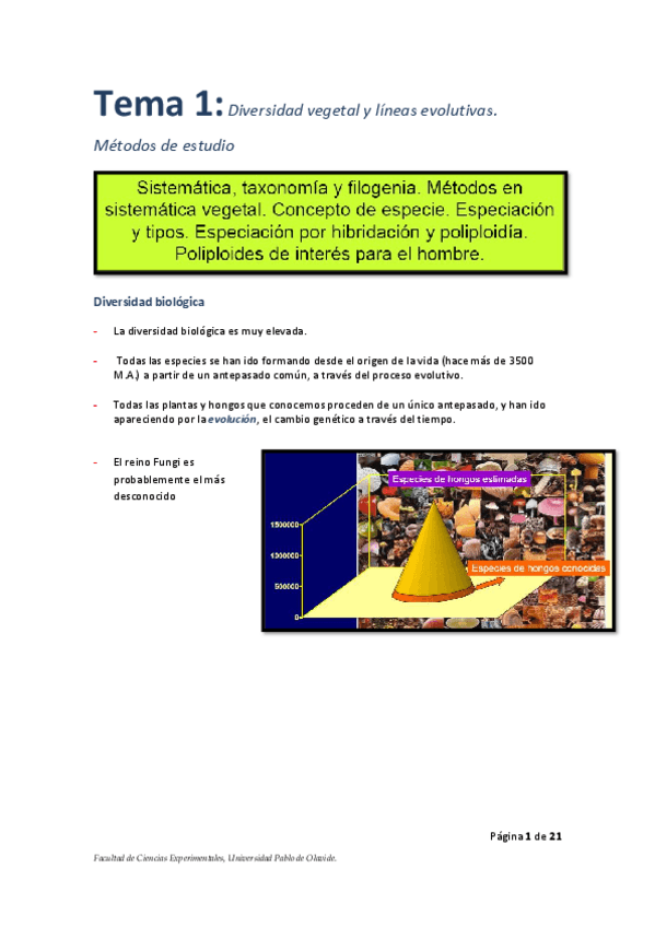 Miniatura del documento UD-1.pdf