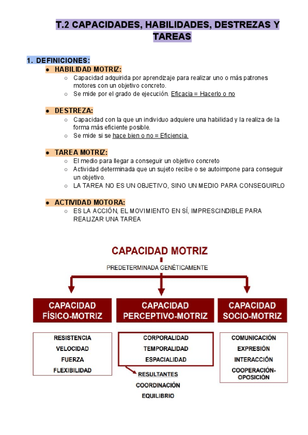 Miniatura del documento T.2 CAPACIDAES, HABILIDADES...
