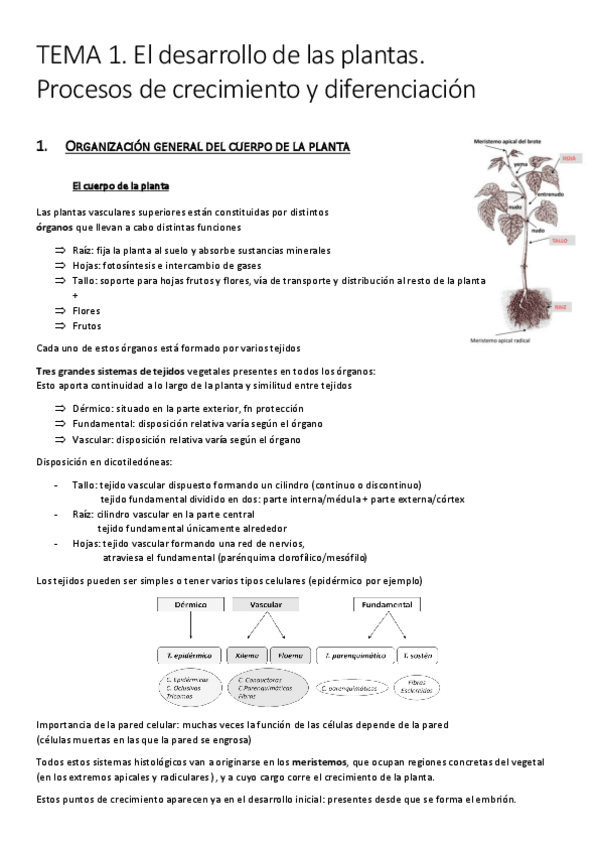 Miniatura del documento TEMA-1.pdf