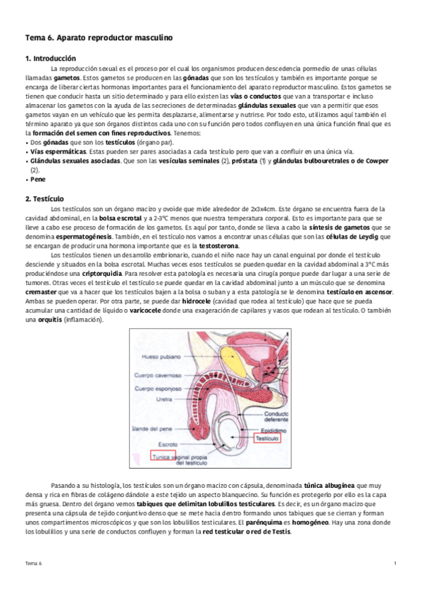 Miniatura del documento Tema-6-Ap.pdf