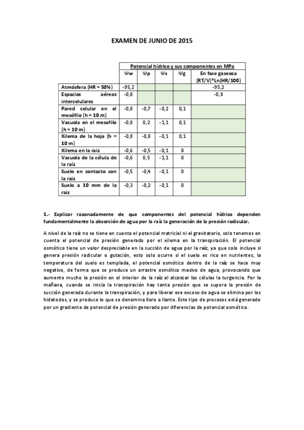Miniatura del documento Modelo de examen.pdf