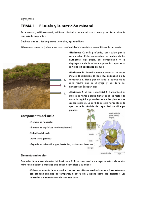 Miniatura del documento TEMA 1 – El suelo y la nutrición mineral.pdf