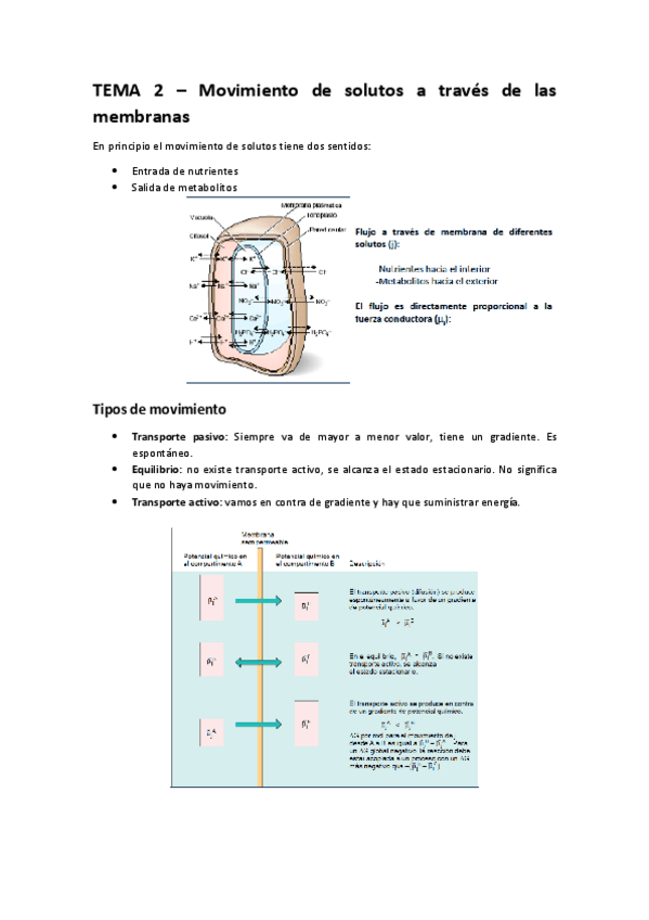 Miniatura del documento TEMA 2 – Movimiento de solutos.pdf