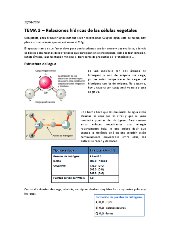 Miniatura del documento TEMA 3 – Relaciones hídricas de las células vegetales.pdf