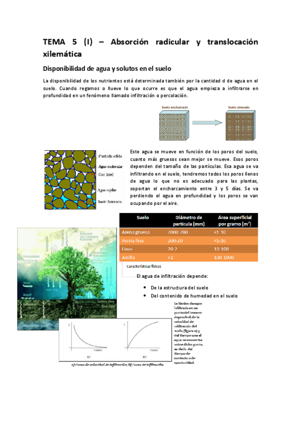 Miniatura del documento TEMA 5 (I) – Absorción radicular y translocación xilemática.pdf