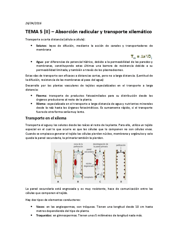 Miniatura del documento TEMA 5 (II) - Absorción radicular y translocación xilemática.pdf