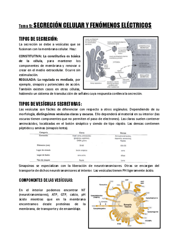 Miniatura del documento Tema-5-Secrecion-celular-y-Fenomenos-electricos.pdf