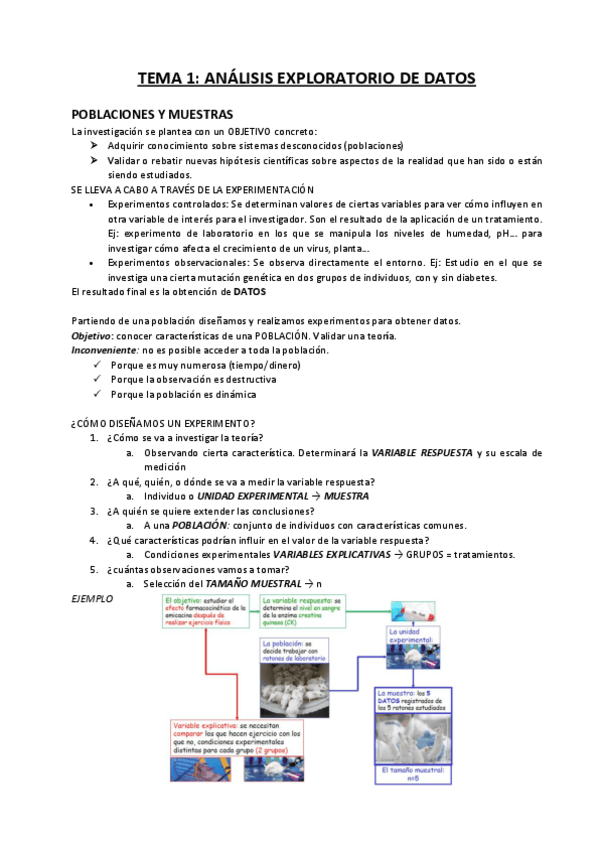 Miniatura del documento TEMA-1.pdf