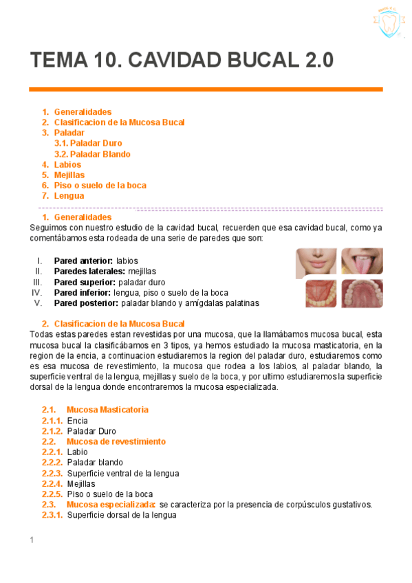 Miniatura del documento TEMA-10-CAVIDAD-BUCAL-2.pdf