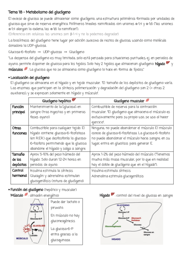 Miniatura del documento Apuntes-bioQca-2o-parcial.pdf