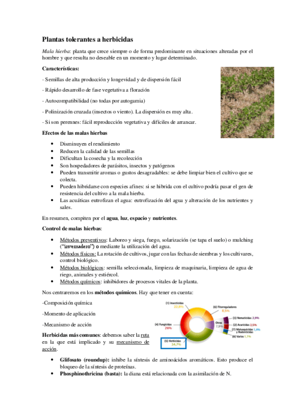 Miniatura del documento Plantas-tolerantes-a-herbicidas.pdf