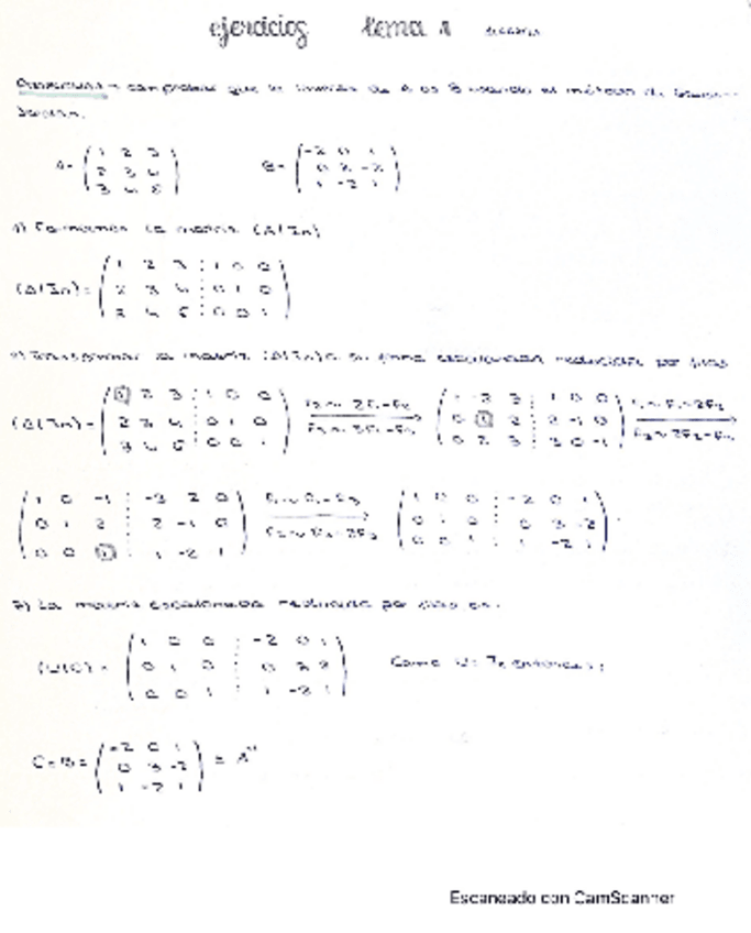 Miniatura del documento Ejercicios-Tema-1algebra-Julia-A.pdf