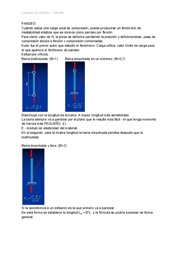 Miniatura del documento PANDEO.pdf