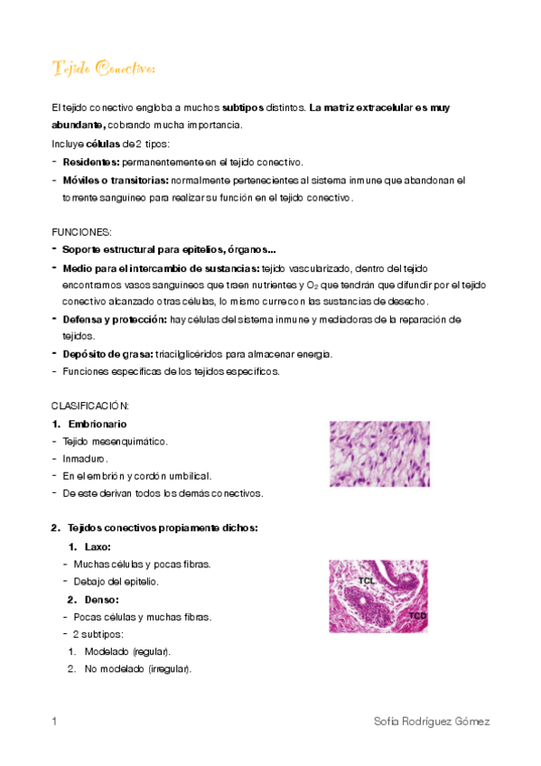 Miniatura del documento 3. Tejido conectivo