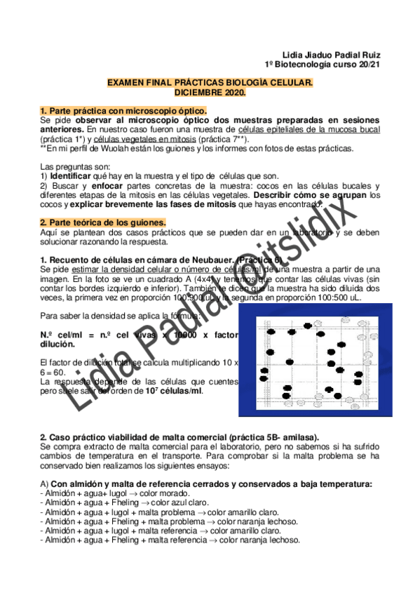 Miniatura del documento EXAMEN-FINAL-PRACTICAS-BIO-CELULAR-2020.pdf