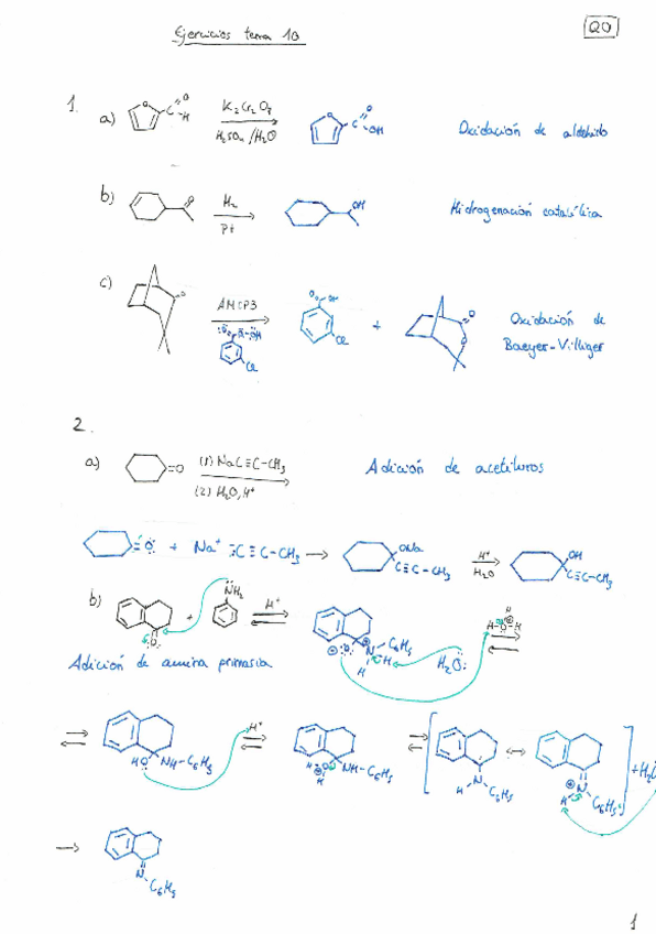 Miniatura del documento Tema 10: Aldehídos y cetonas.pdf