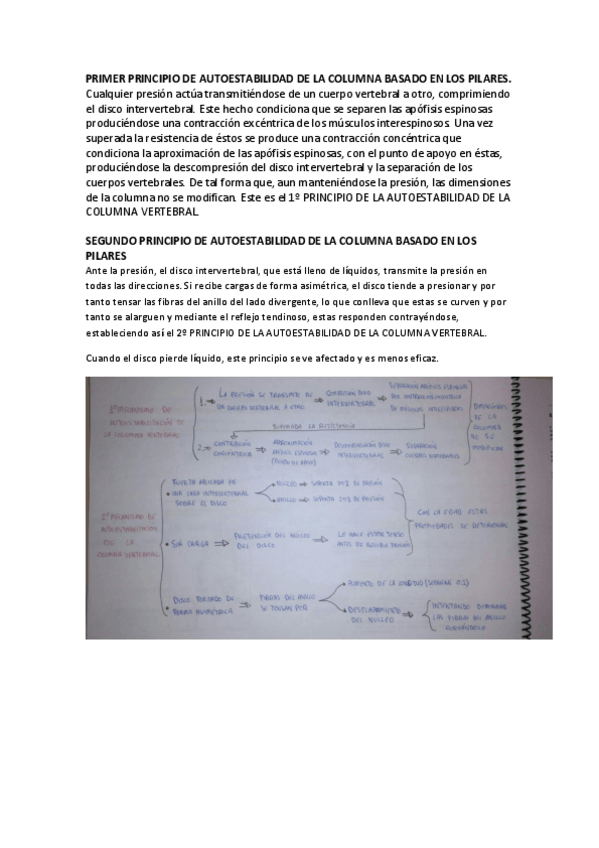 Miniatura del documento Anatomia (segundo parcial).pdf