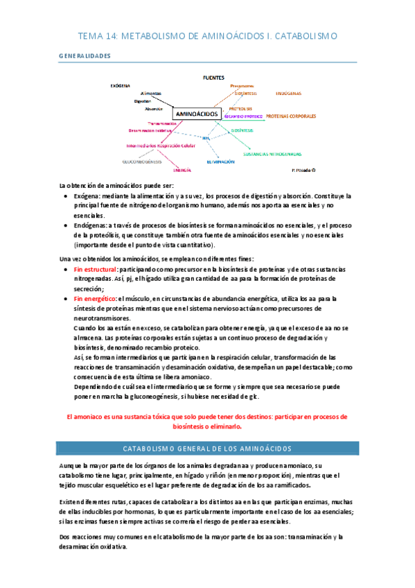 Miniatura del documento TEMA-14.pdf