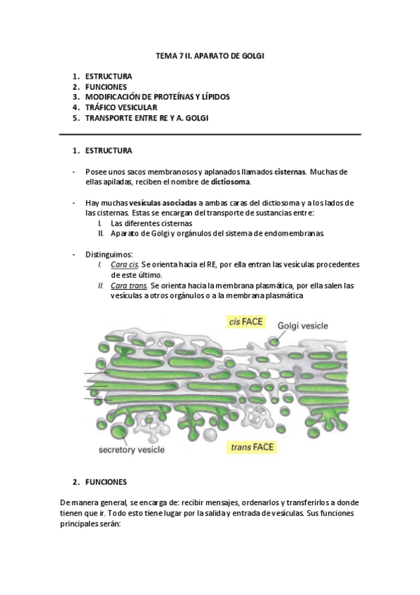 Miniatura del documento TEMA-7-II-APARATO-DE-GOLGI.pdf