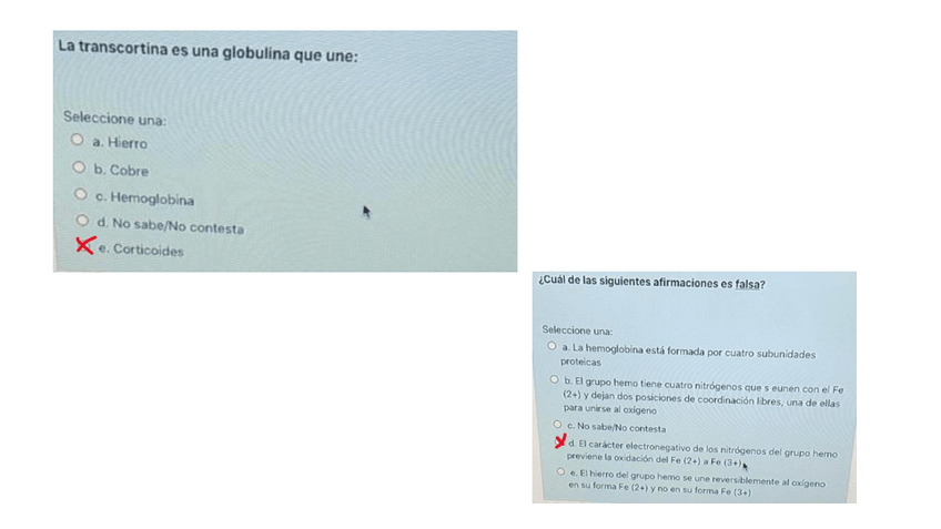 Miniatura del documento Examen-Parcial-1-BIOQ-Rosa-y-Lola.pdf